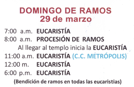 EUCARISTIAS DOMINGO DE RAMOS